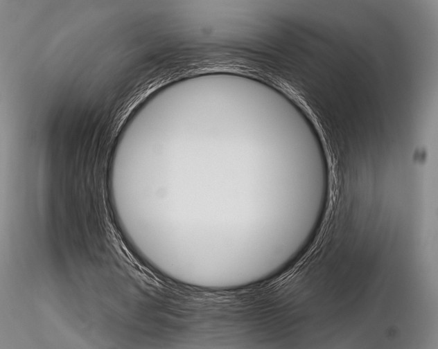 X0000116850386200912220946