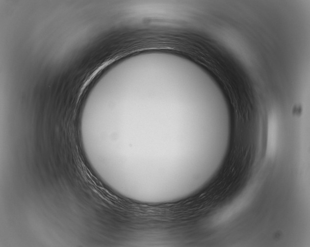 X0000116850387200912220946