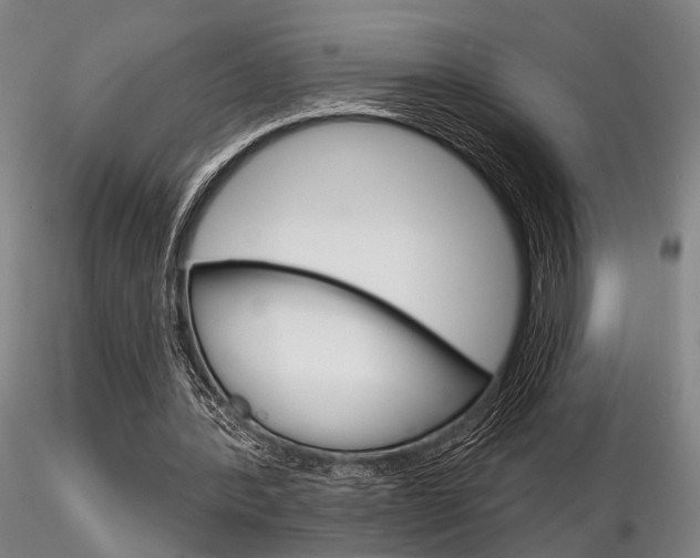 X0000116850388200912220946