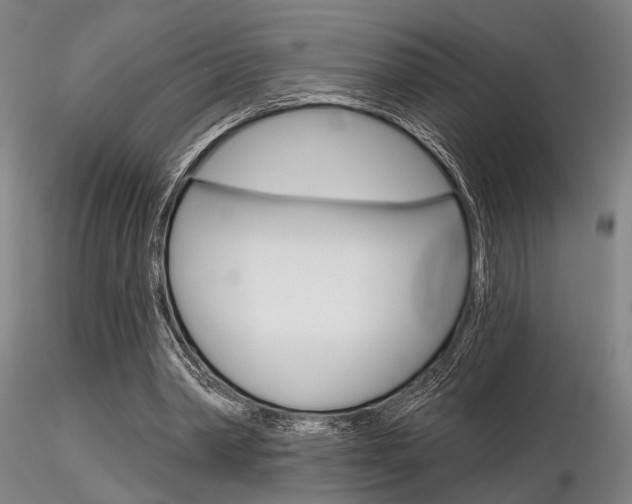 X0000116850390200912220946
