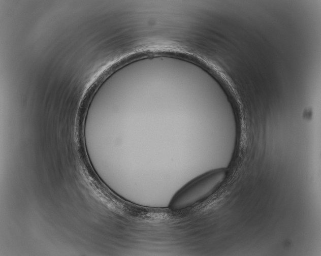 X0000116850391200912220946