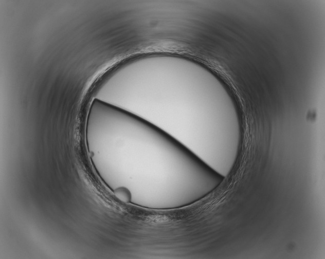 X0000116850392200912220946