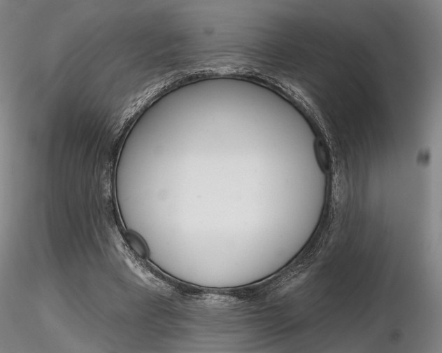 X0000116850393200912220946