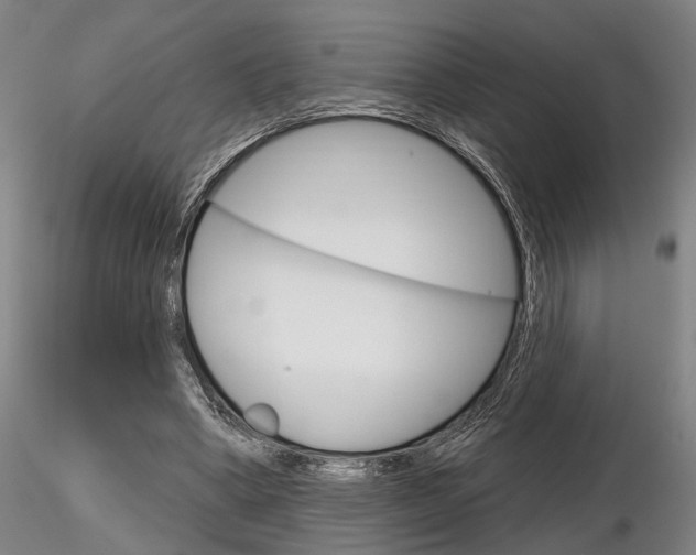 X0000116850394200912220946