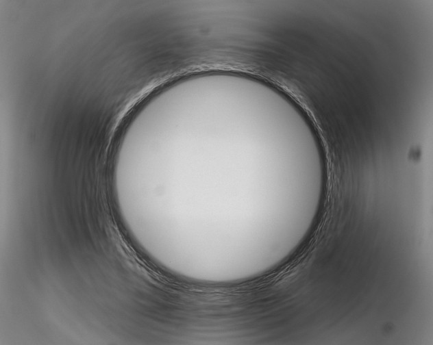 X0000116850395200912220946