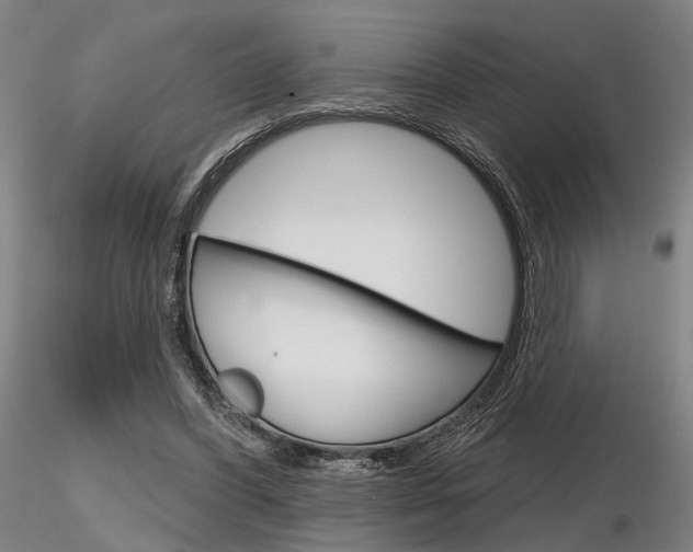 X0000116850396200912220946