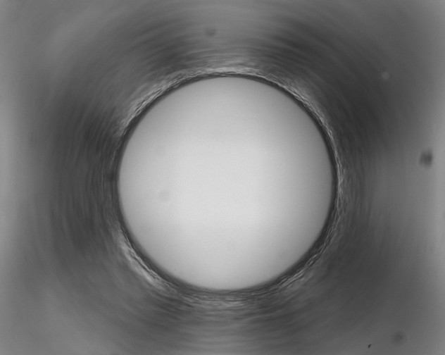 X0000116850397200912220946