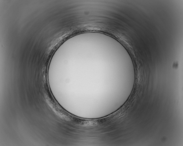X0000116850398200912220946