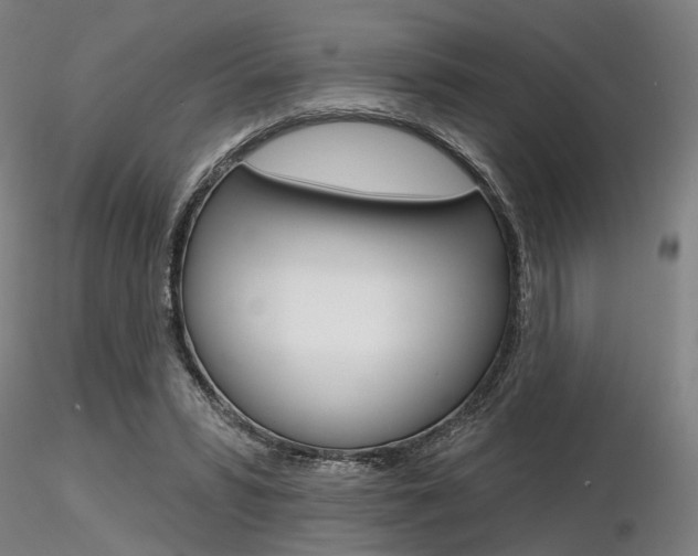 X0000116850399200912220946