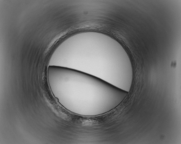 X0000116850400200912220946