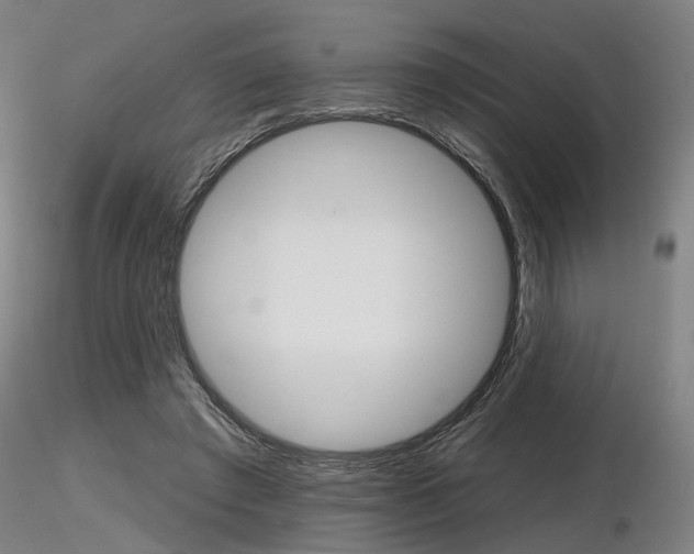 X0000116850401200912220946
