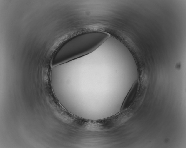 X0000116850403200912220946