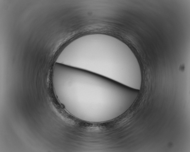 X0000116850404200912220946