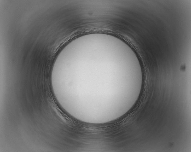 X0000116850405200912220946