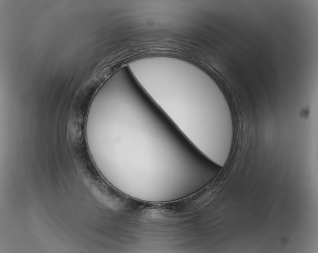 X0000116850408200912220946