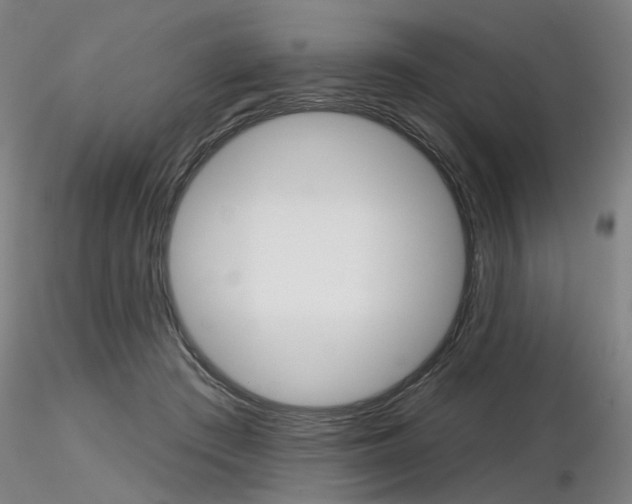 X0000116850409200912220946