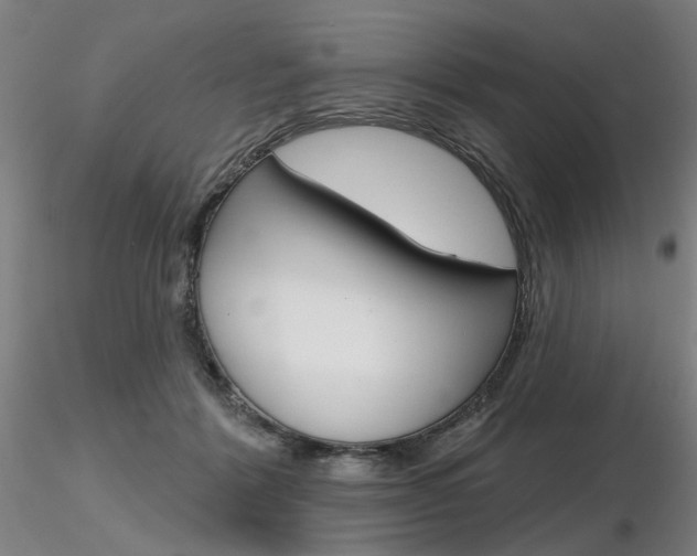 X0000116850412200912220946