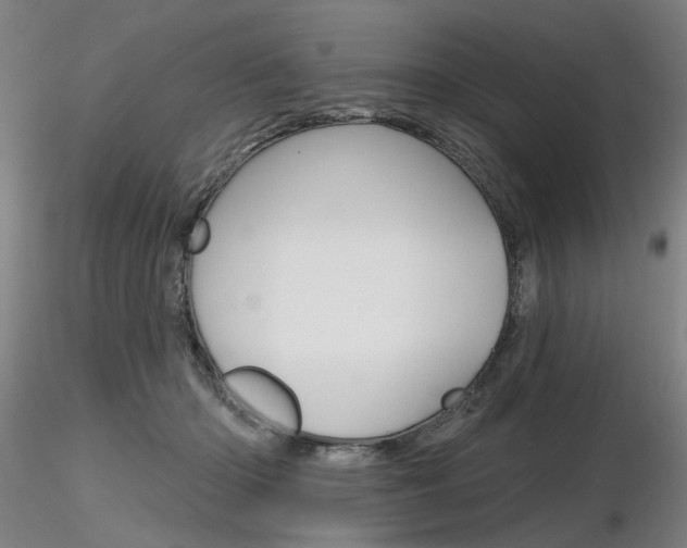X0000116850414200912220946