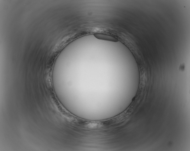 X0000116850415200912220946