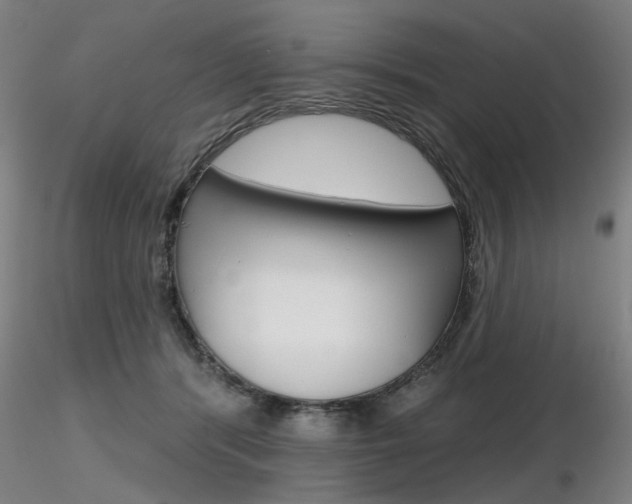 X0000116850416200912220946