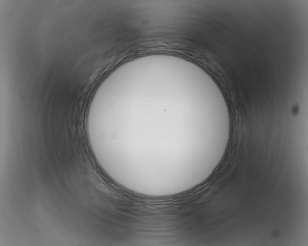 X0000116850419200912220946