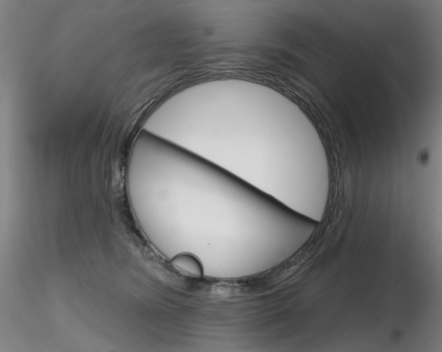X0000116850420200912220946
