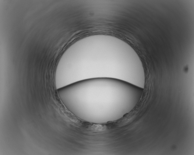 X0000116850421200912220946