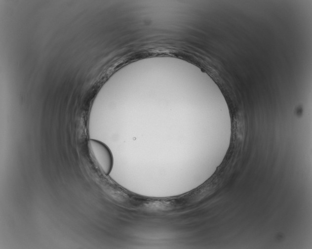 X0000116850422200912220946