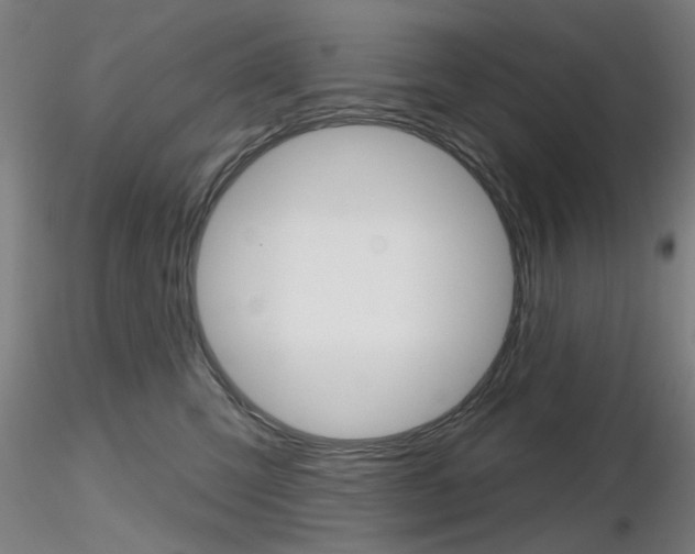 X0000116850423200912220946