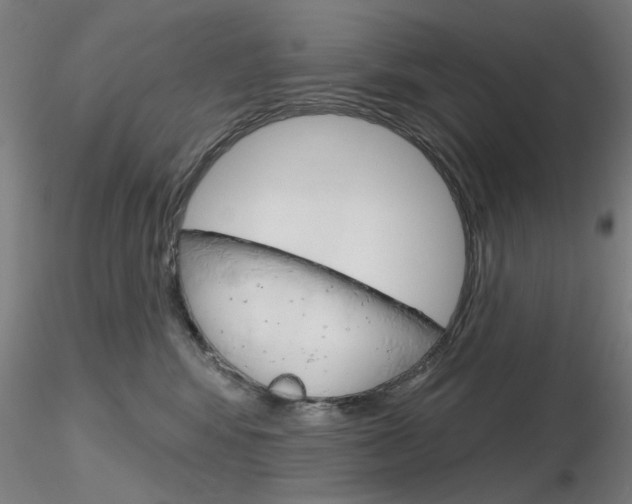 X0000116850424200912220946