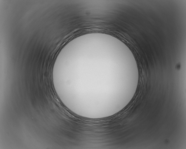 X0000116850425200912220946