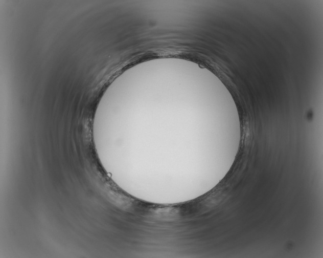 X0000116850426200912220946