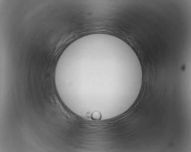 X0000116850427200912220946