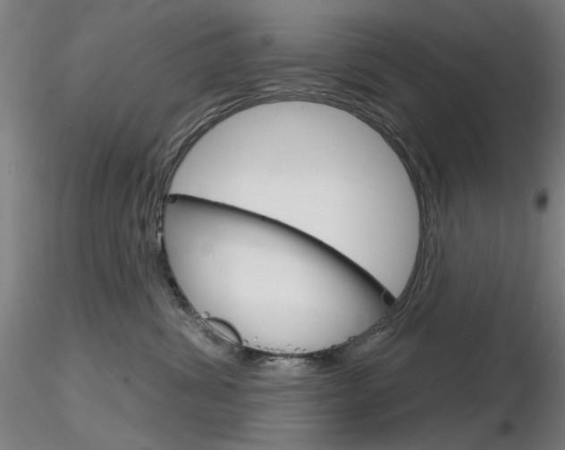 X0000116850428200912220946