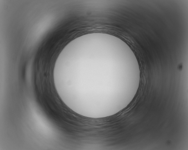 X0000116850429200912220946