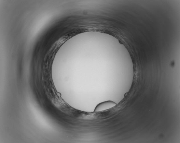 X0000116850430200912220946