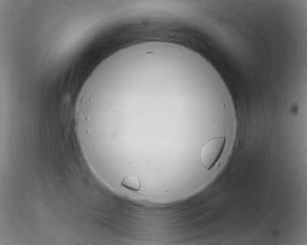 X0000116850431200912220946
