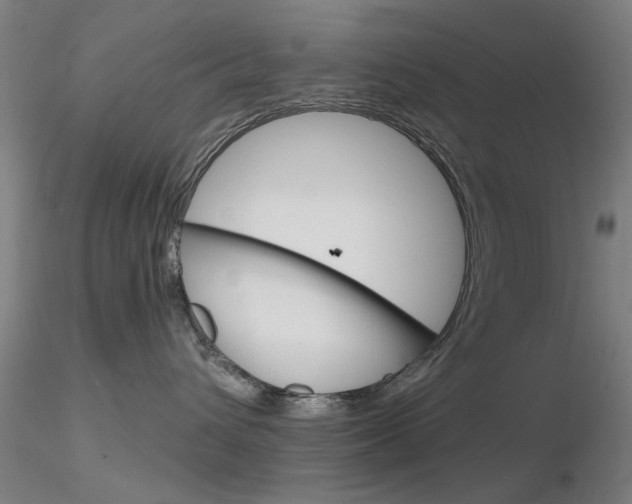 X0000116850432200912220945