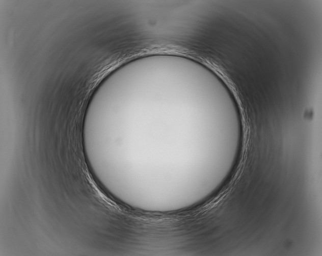 X0000116850433200912220945