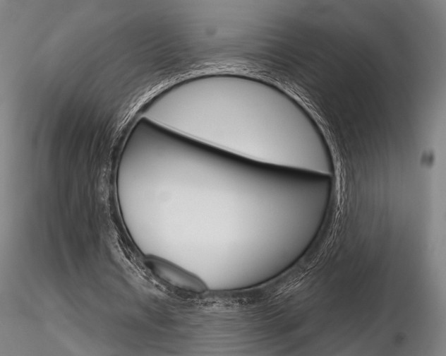 X0000116850434200912220945