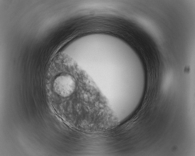 X0000116850435200912220945