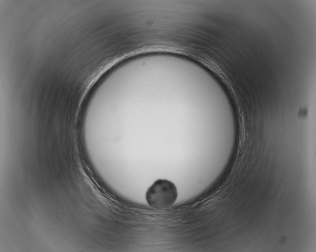 X0000116850436200912220945