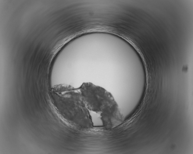 X0000116850437200912220945