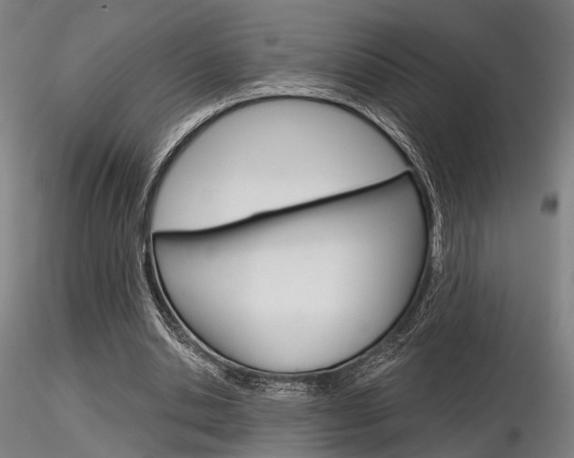 X0000116850438200912220945