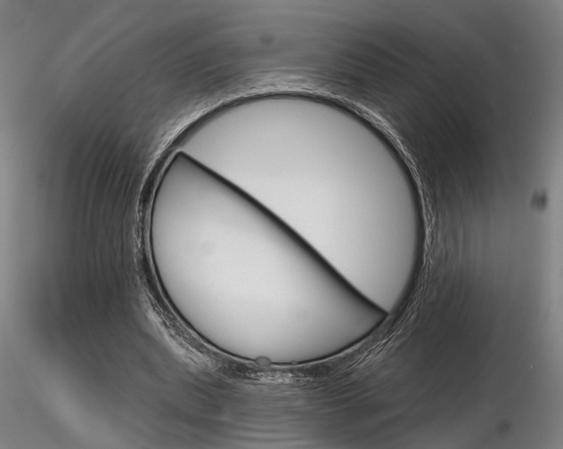 X0000116850439200912220945