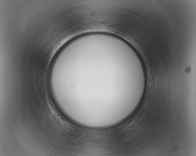 X0000116850440200912220945