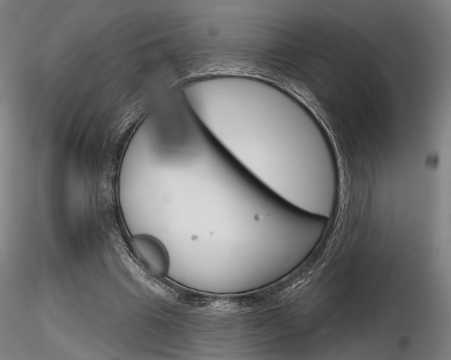 X0000116850441200912220945