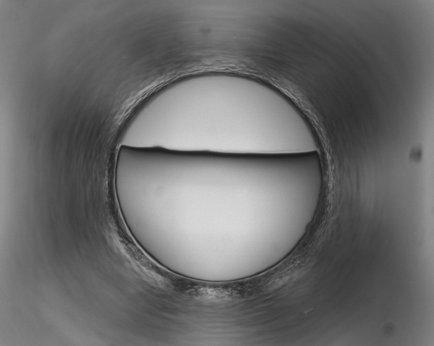 X0000116850442200912220945