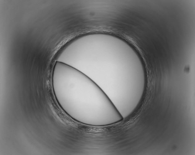 X0000116850443200912220945