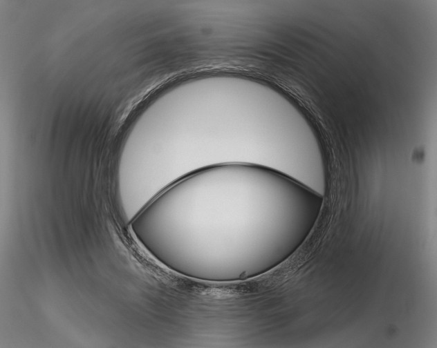 X0000116850444200912220945